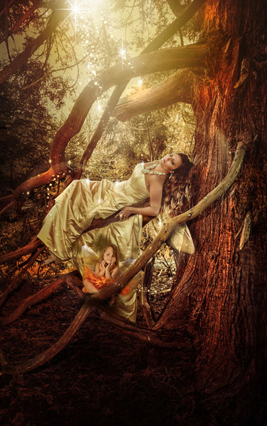 Photograph Vicki Lea Boulter Enchanted 03 on One Eyeland
